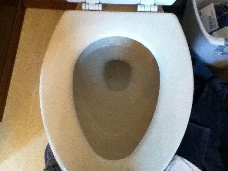 How to Kiss a Toilet