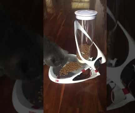 Super Stylish Automatic Cat Feeder
