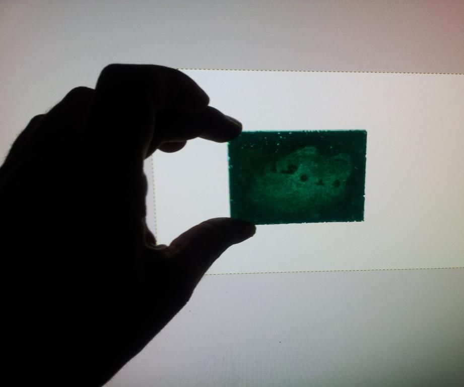 How to Convert a 2D Image / Photo Into a 3D Printed Image!