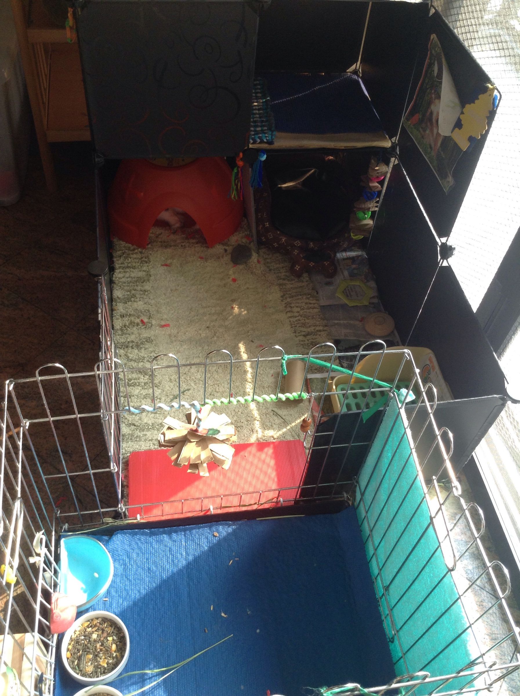 New Rabbit Condo Upgrade