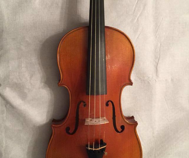 How to Play Violin Under 30 Minutes