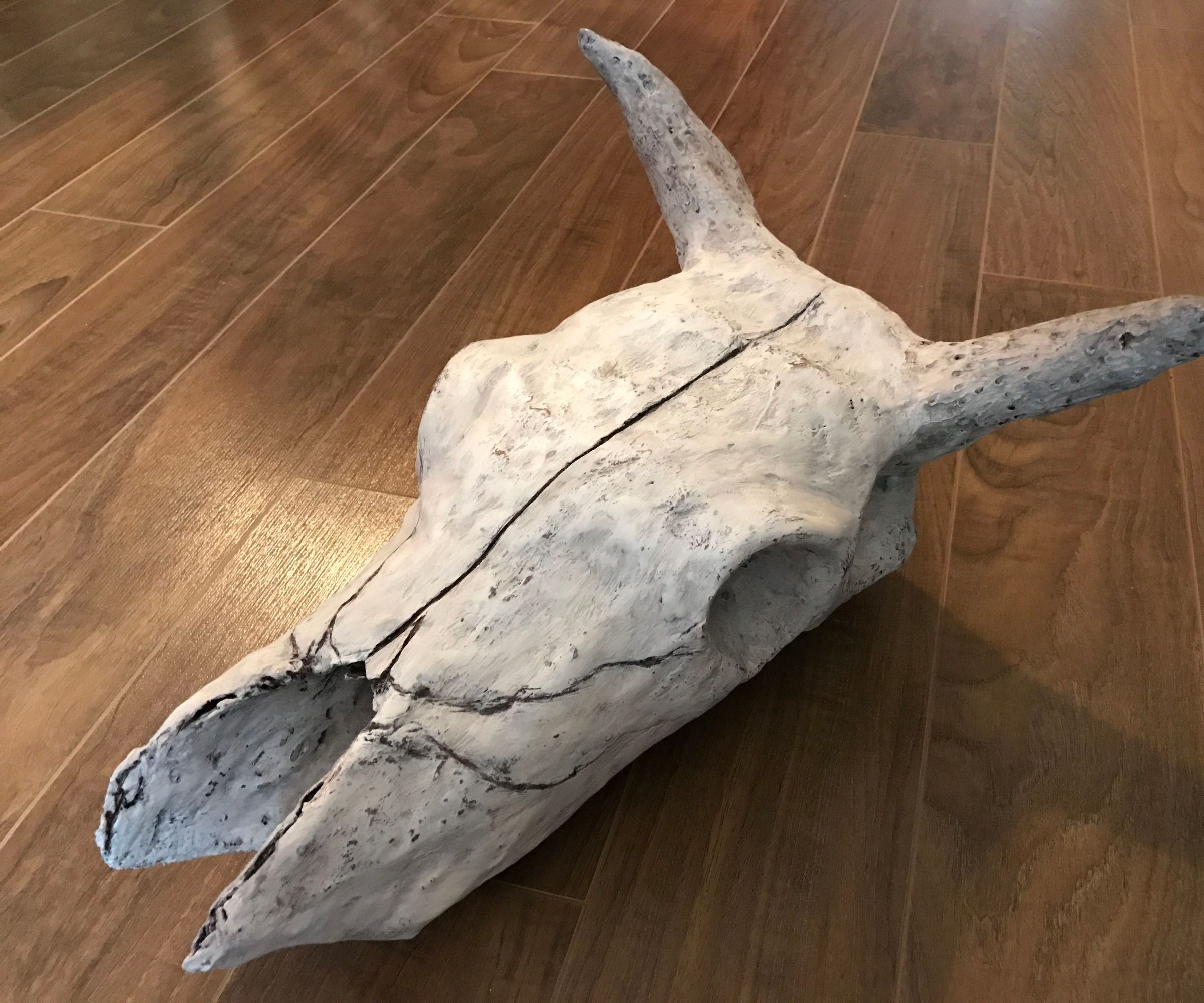 How to Clone a Cow Skull