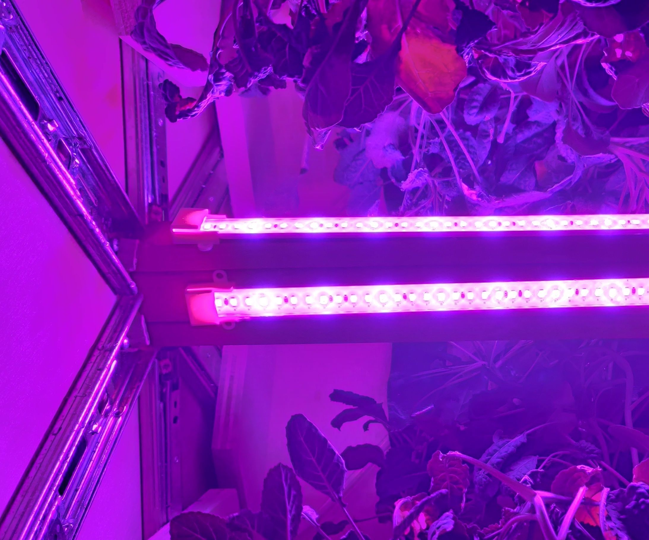 HexaGrow Dense Agriculture System for Microgravity