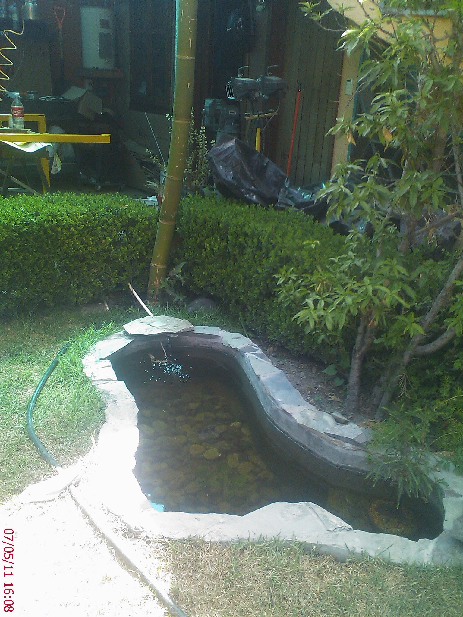 My Pond, Mi Estanque De Jardin