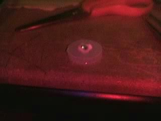 Easy 10-Minute Macro Lens for Eyetoy/Webcam