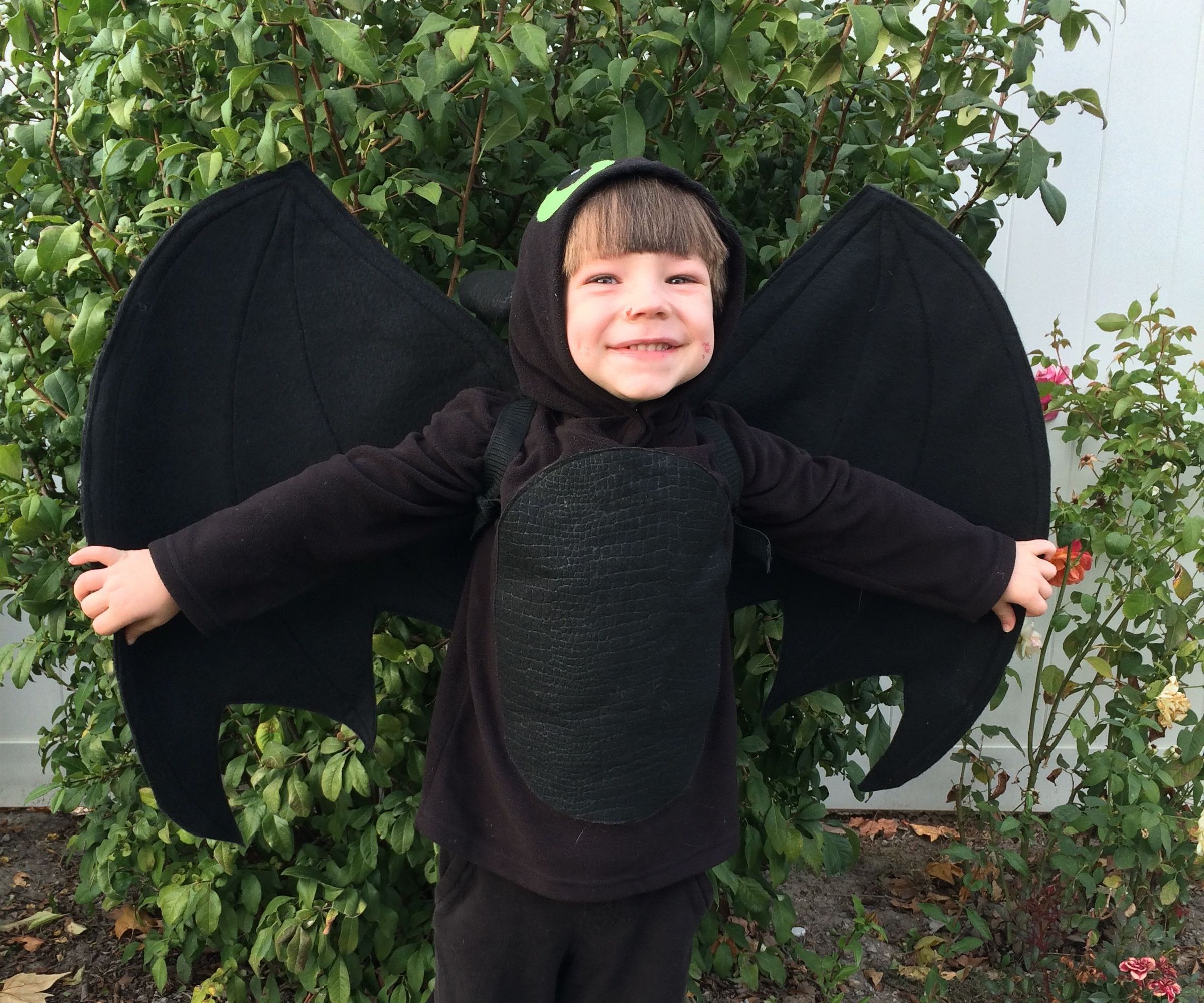 Easy Toothless Costume