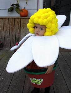 "Daisy in a Pot" Costume
