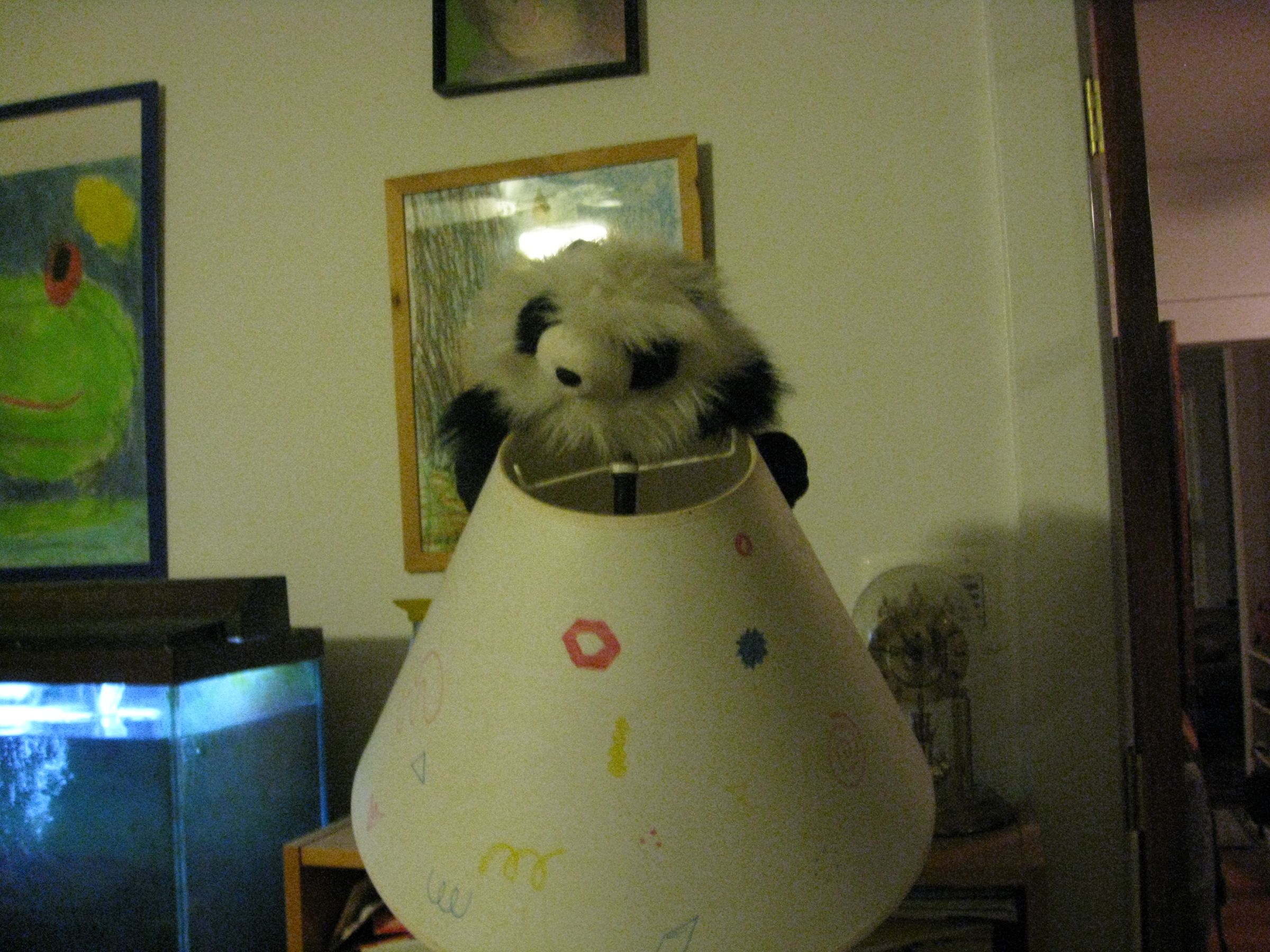 How to (Ethicly and Epicly) Capture a Panda