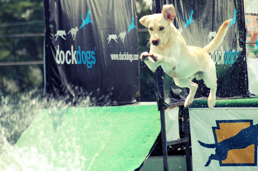 Give Your Picture a Lomography Effect in Photoshop