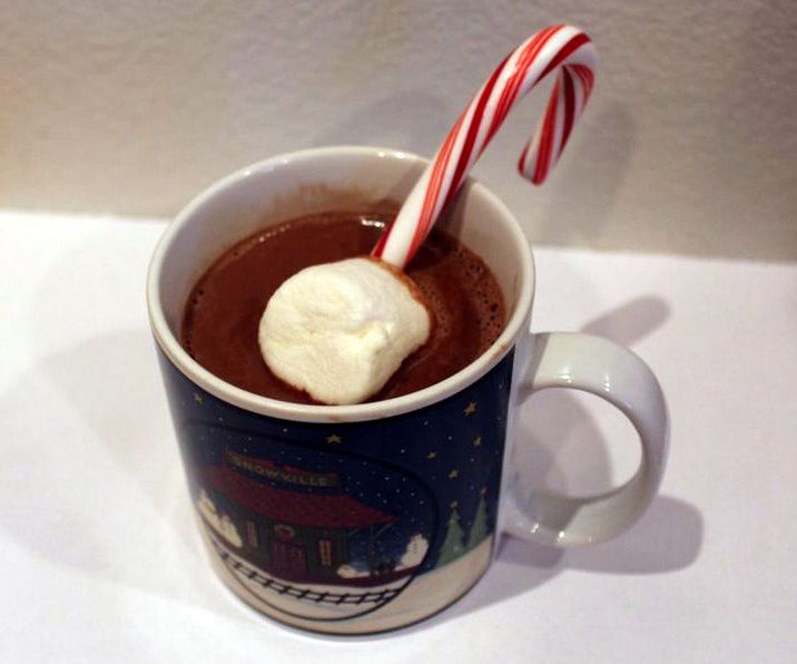 Easy Delicious Dairy Free Hot Chocolate