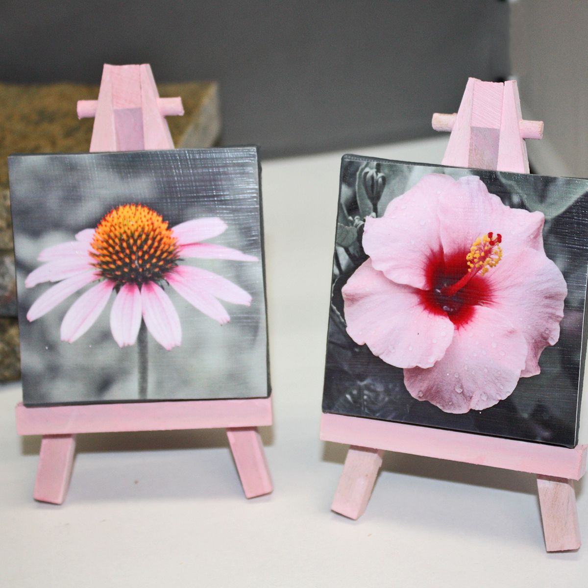 Mini-Canvas Photograph Displays