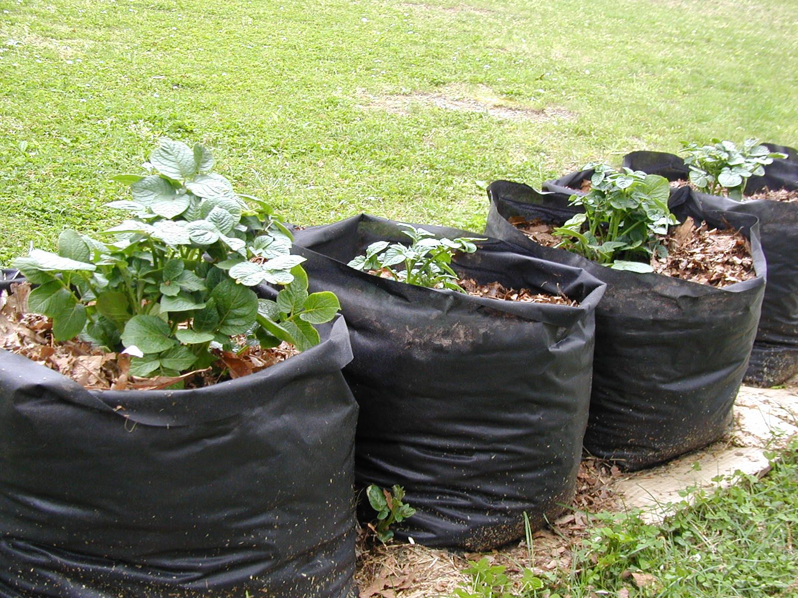Tater Totes Potato Grow Bags 7 Steps (with Pictures) Instructables