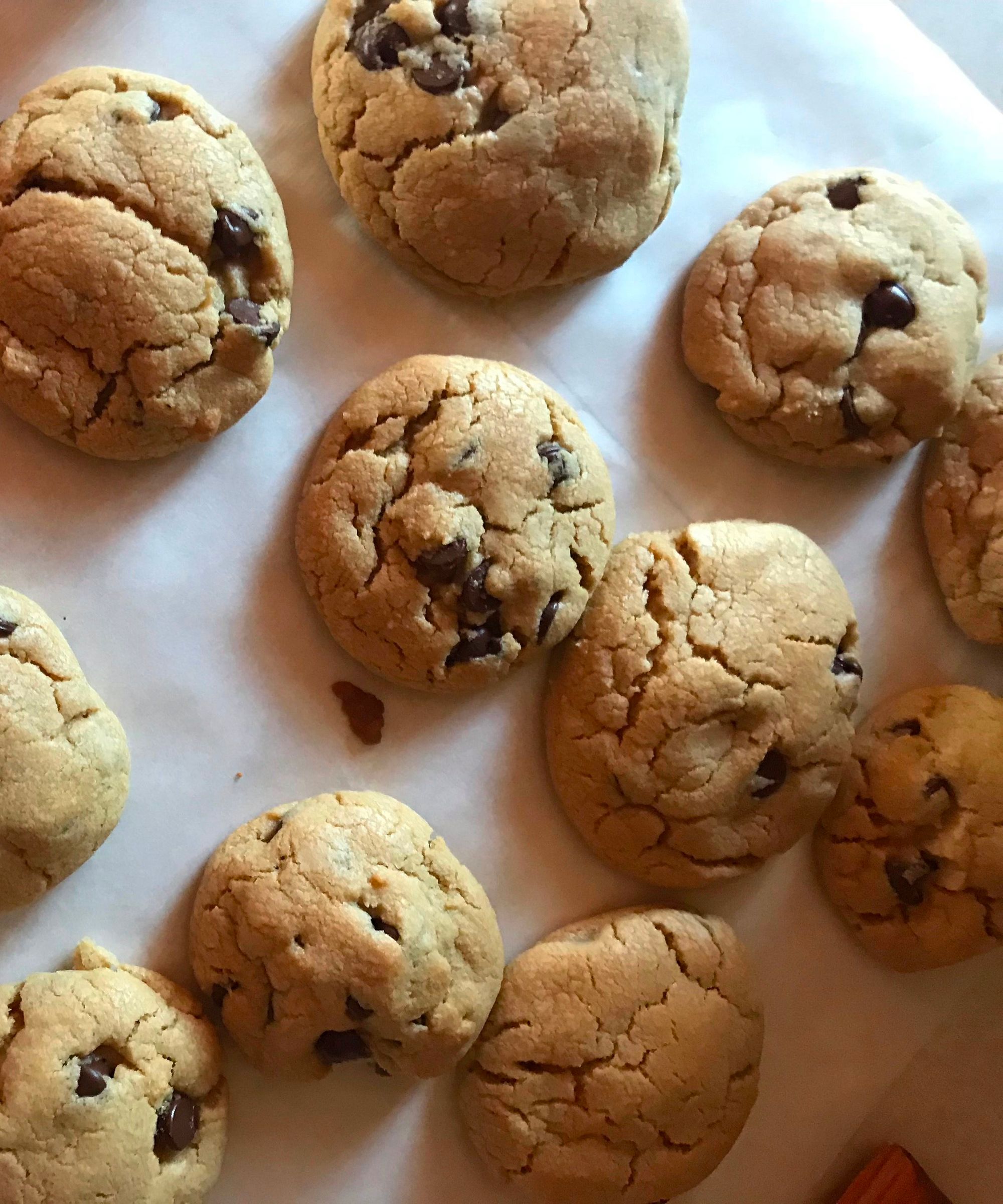 Grandma's Chocolate Chip Cookies