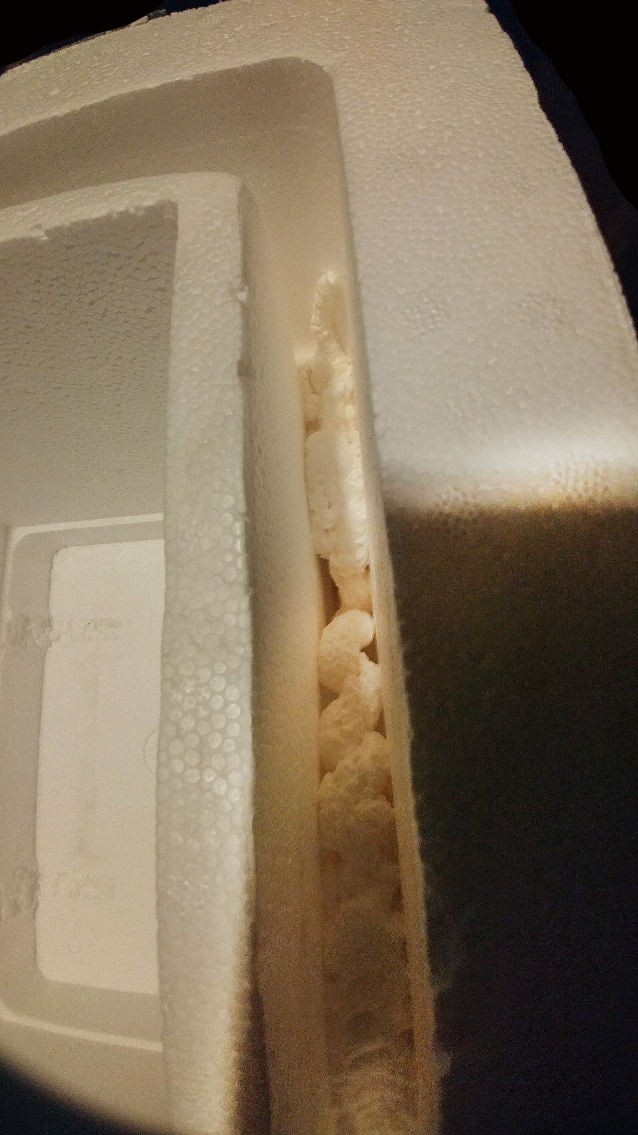 BearProof Ice Chest From Garbage 6 Steps Instructables