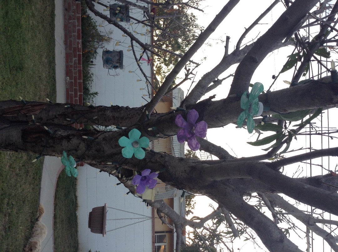 Decorate Your Back Yard