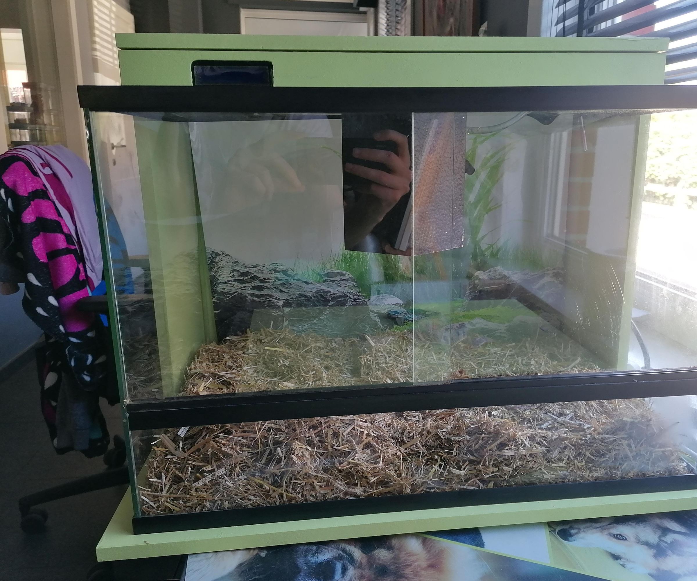 Smart Terrarium With Raspberry Pi