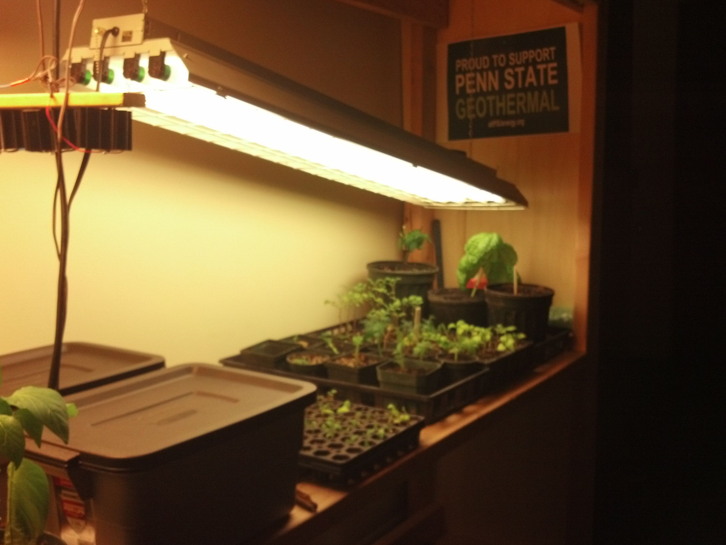Mike's Urban Farm Adding Some Hydro Beds 4 Steps Instructables