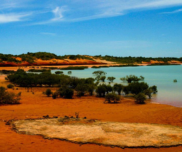 How to Plan a Beach Trip to Roebuck Bay
