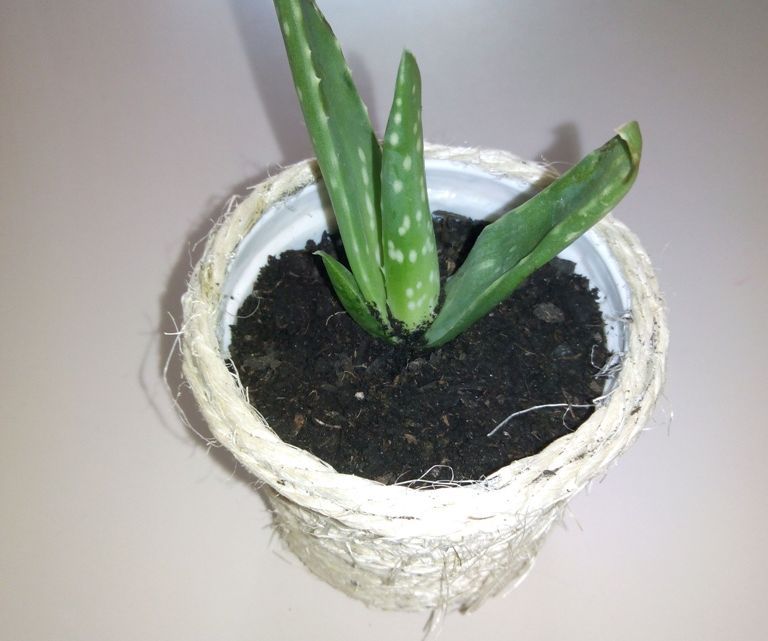 Rope pot