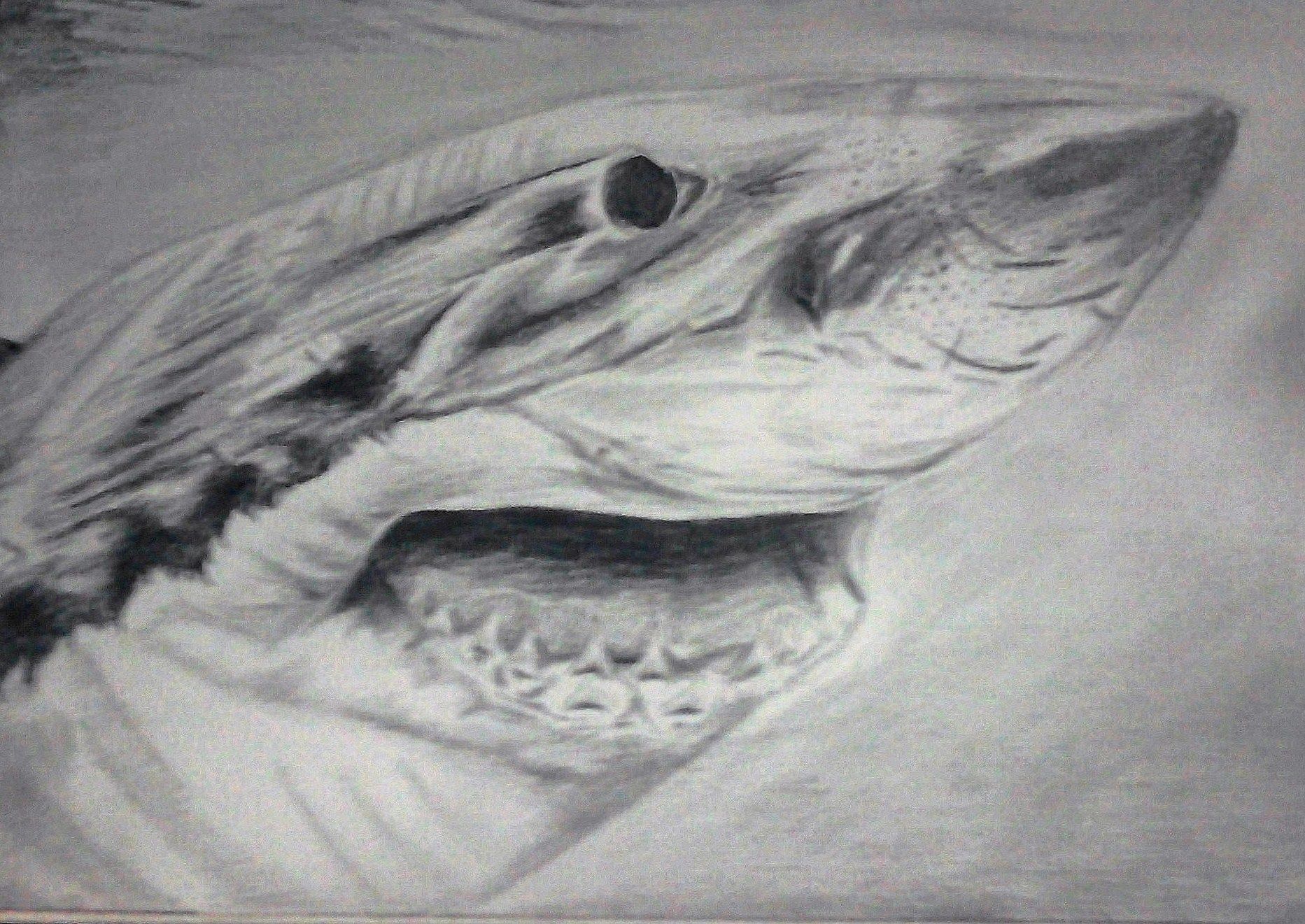 Meh art work