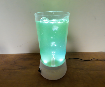 The Photobioreactor Is Ready !