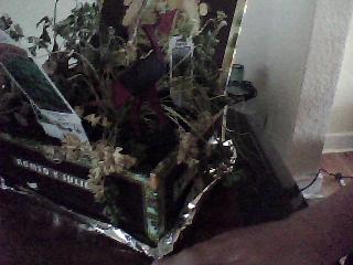 Decorate YAY