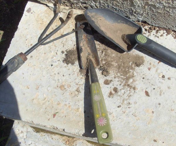 How to Start Your Own Garden