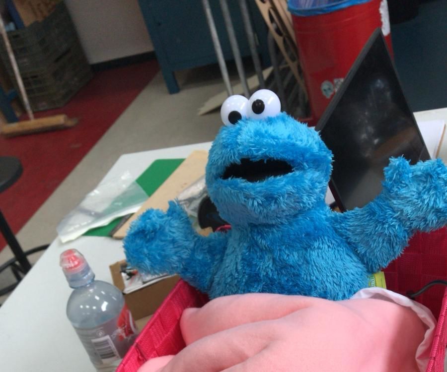 Cookie Monster Doctor
