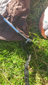 Place the First Pole Into the Pins at Opposite Corners, Bending the Pole As Needed