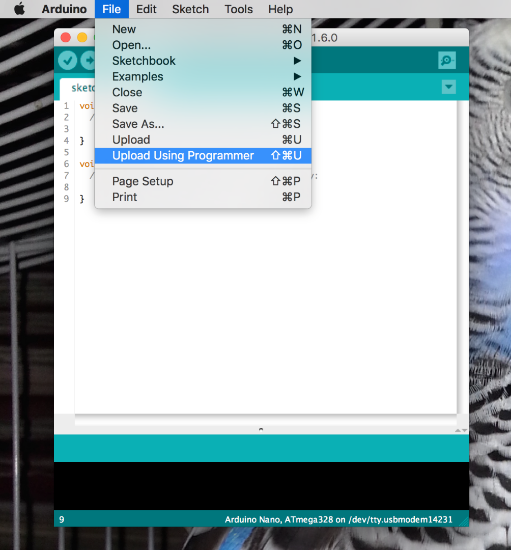 Programming Arduino With Another Arduino : 3 Steps - Instructables
