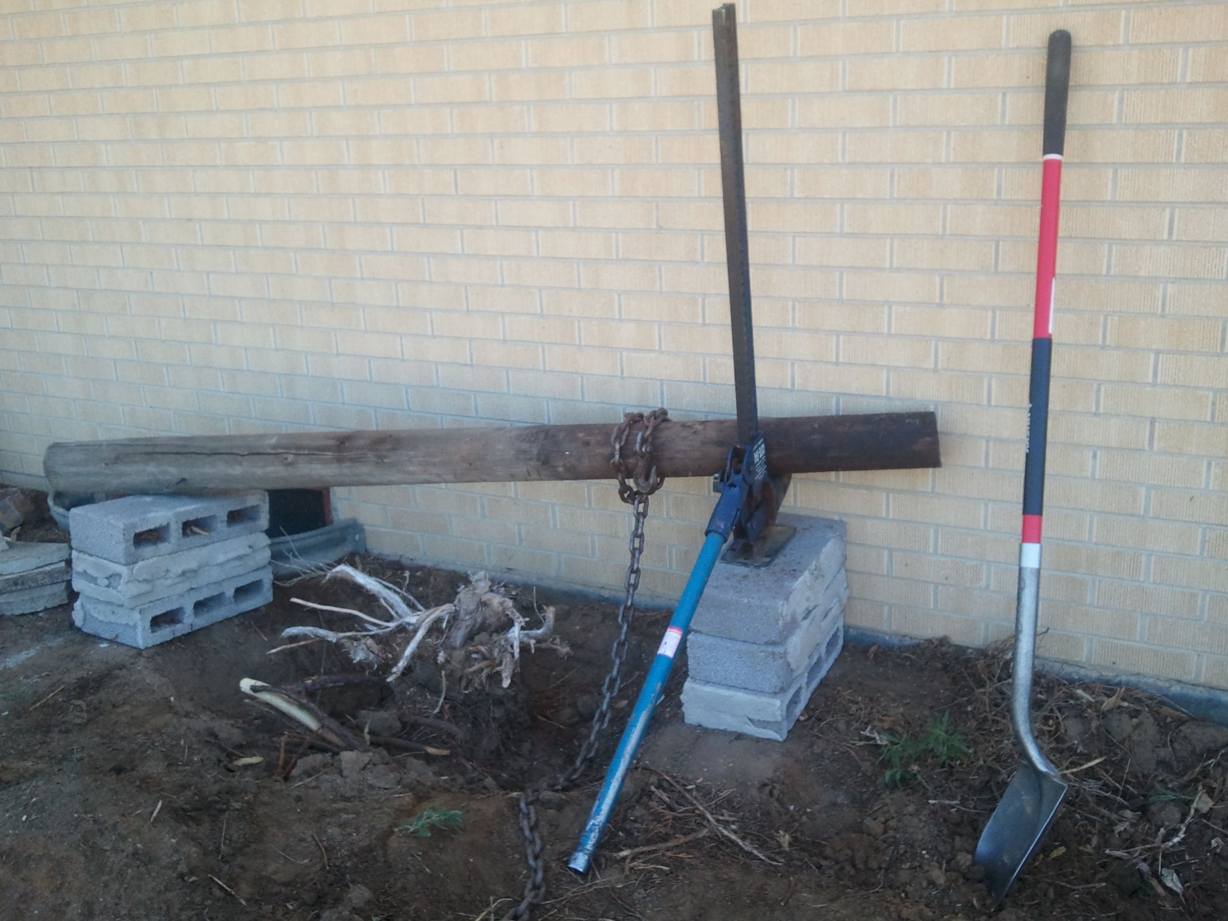 Juniper and Large Stump Removal