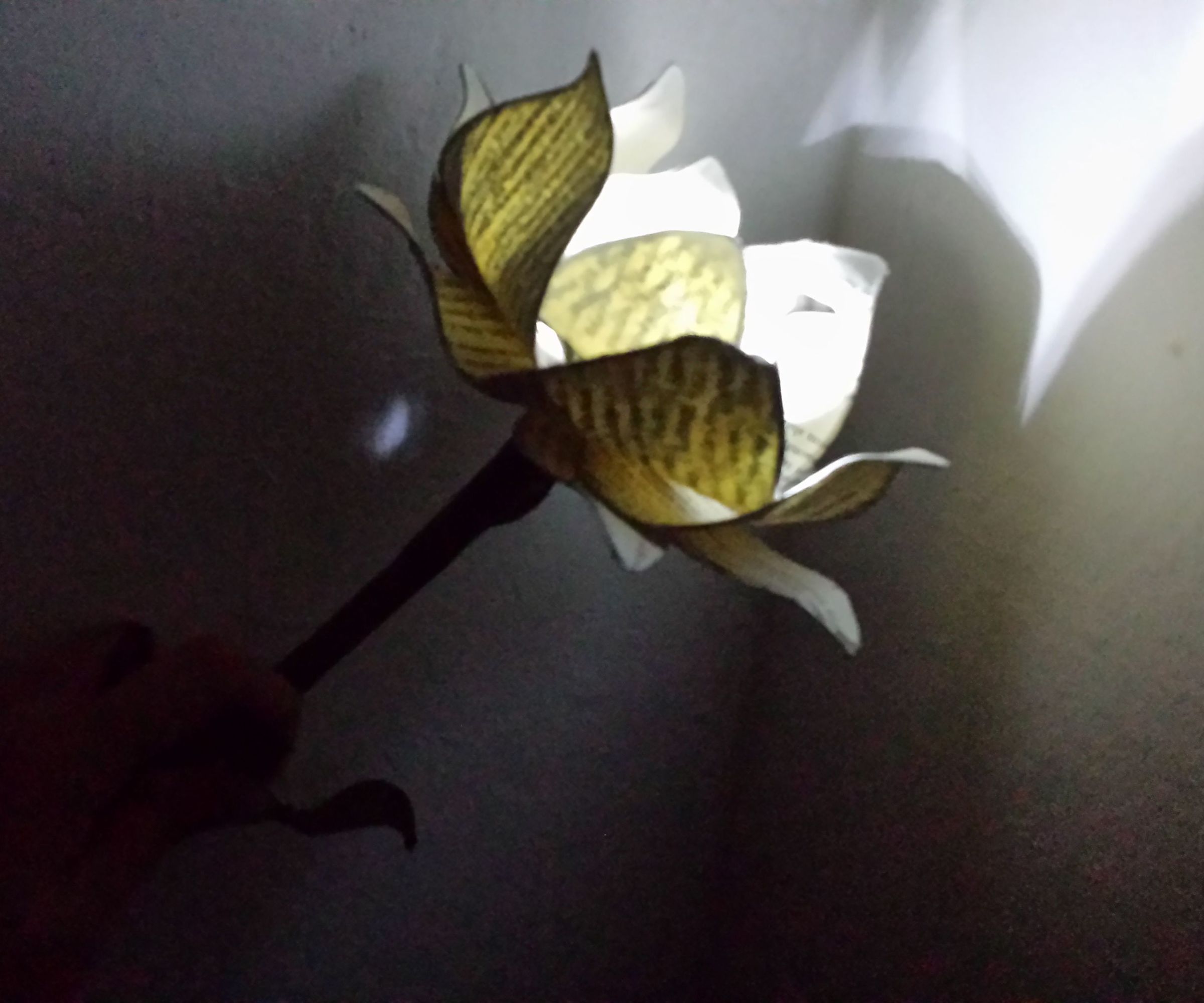 Light-up Literary Flower