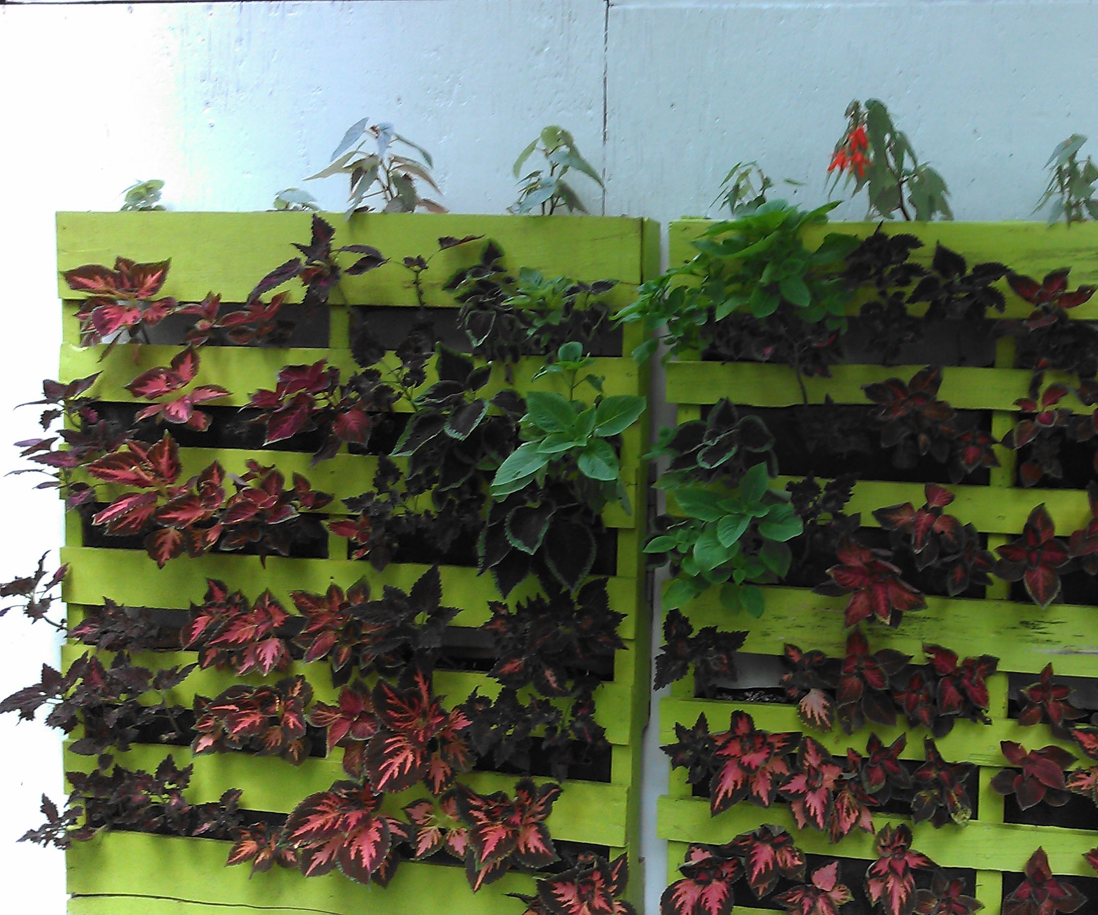 Vertical Wall Planter