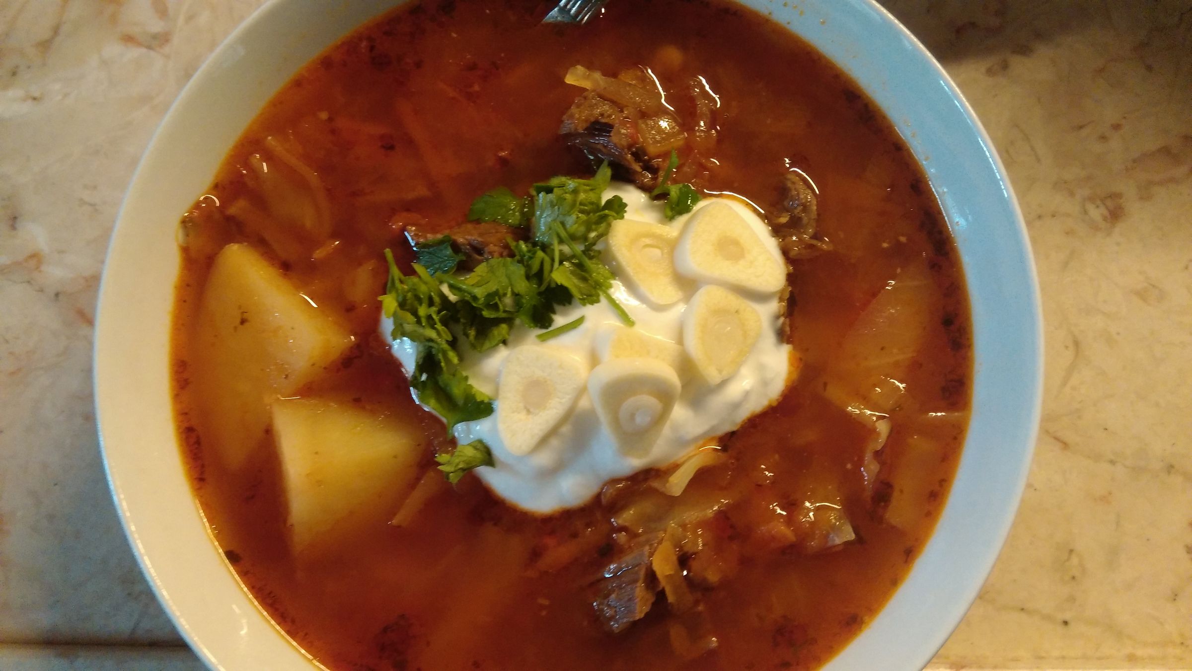 Real Russian Borscht