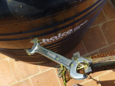 Retrieve the Spanner