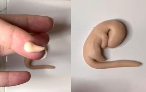 Creating the Polymer Clay Dragon Legs
