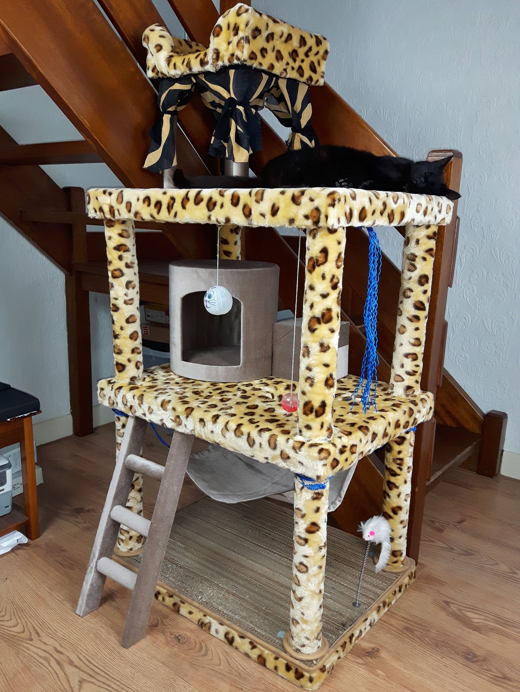 Cat Activity Centre 23 Steps (with Pictures) Instructables