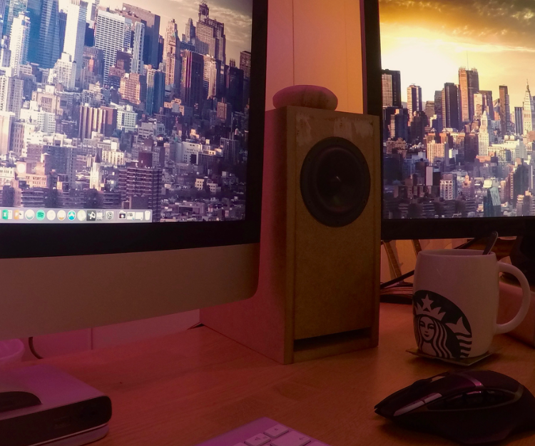 RS100 PC Passive Speakers