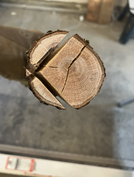 Cut Branch Logs, After Drying