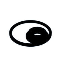 download {{ file.name }}