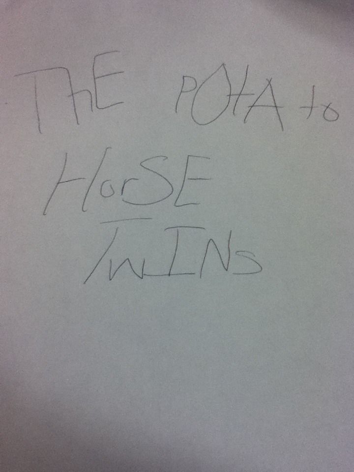 Potato Horse Twins