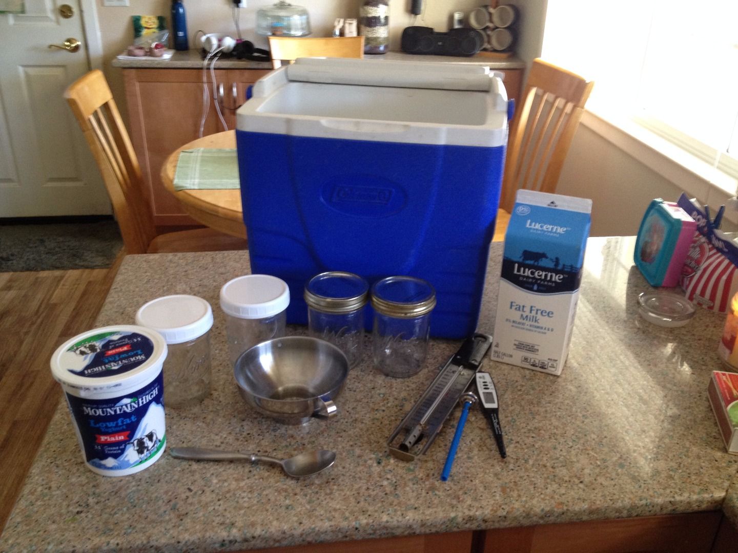 Easy Homemade Yogurt 4 Steps (with Pictures) Instructables