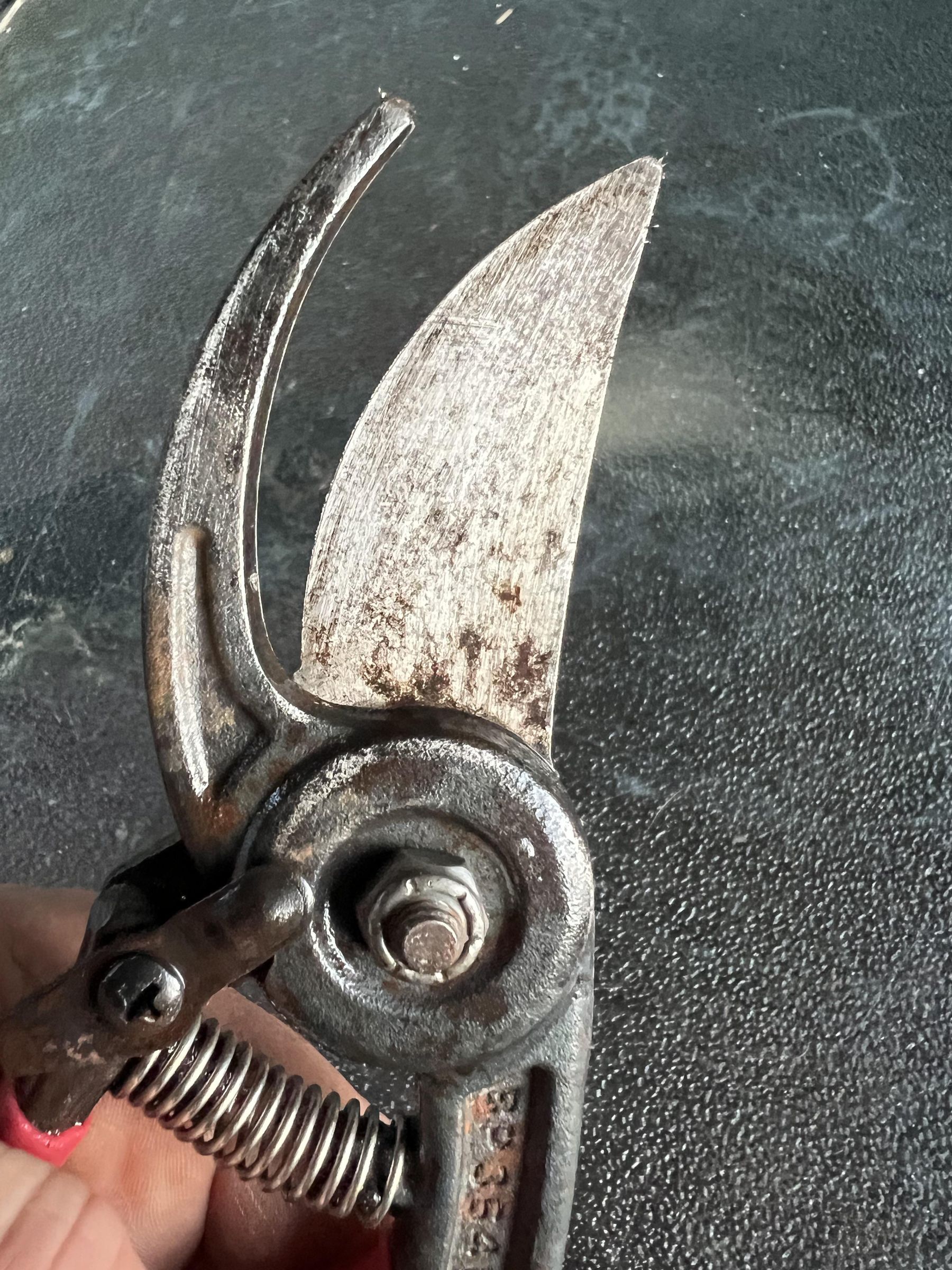 Sharpening Clippers 4 Steps Instructables