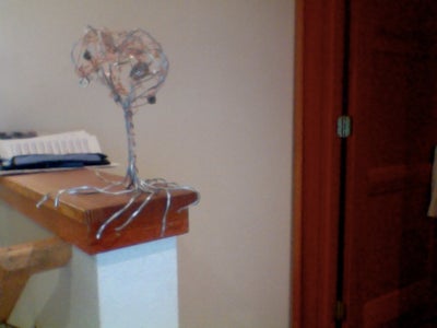 Find a Place to Plant Your Tree