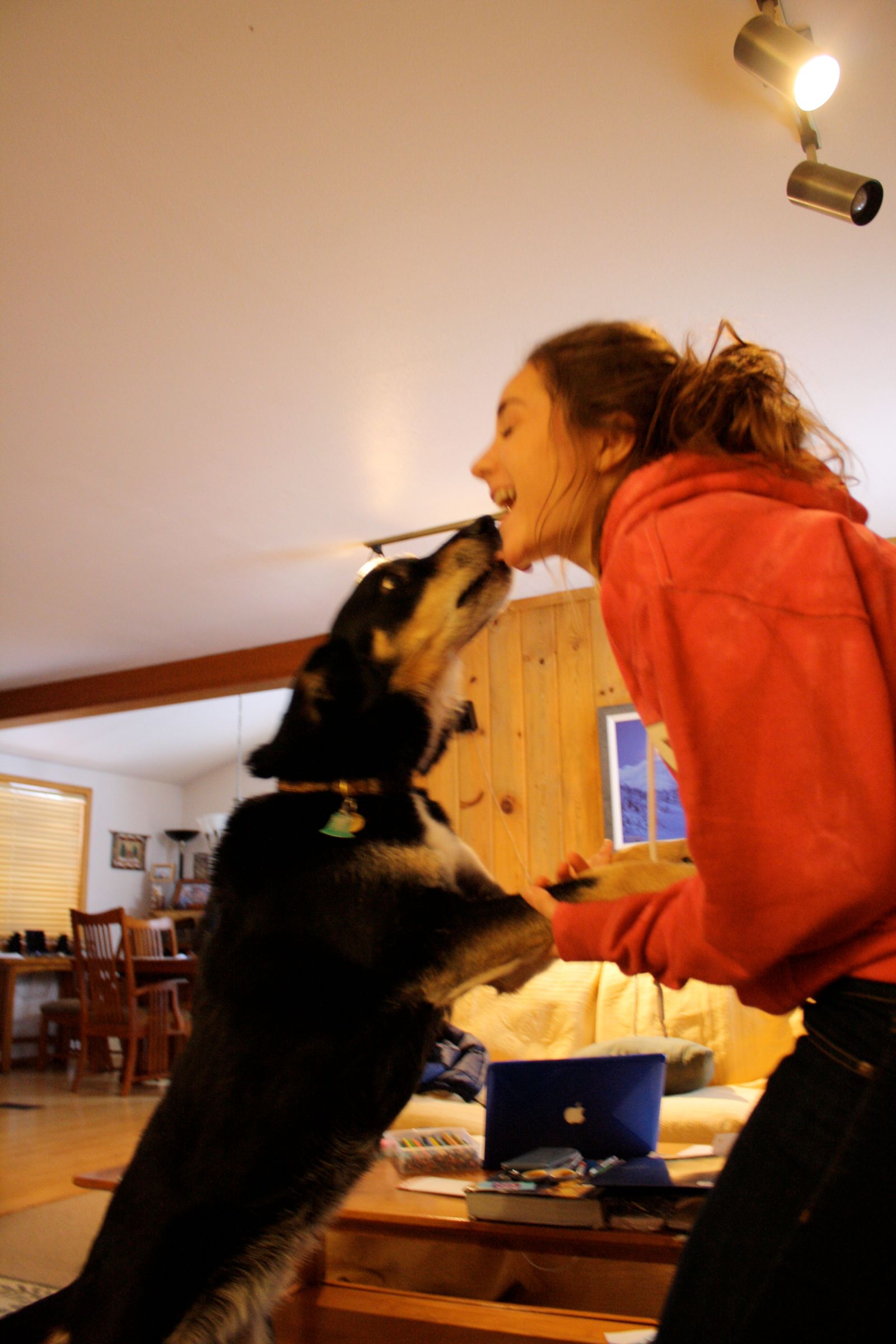 How to Make Your Dog Jump Up and Kiss Your Face