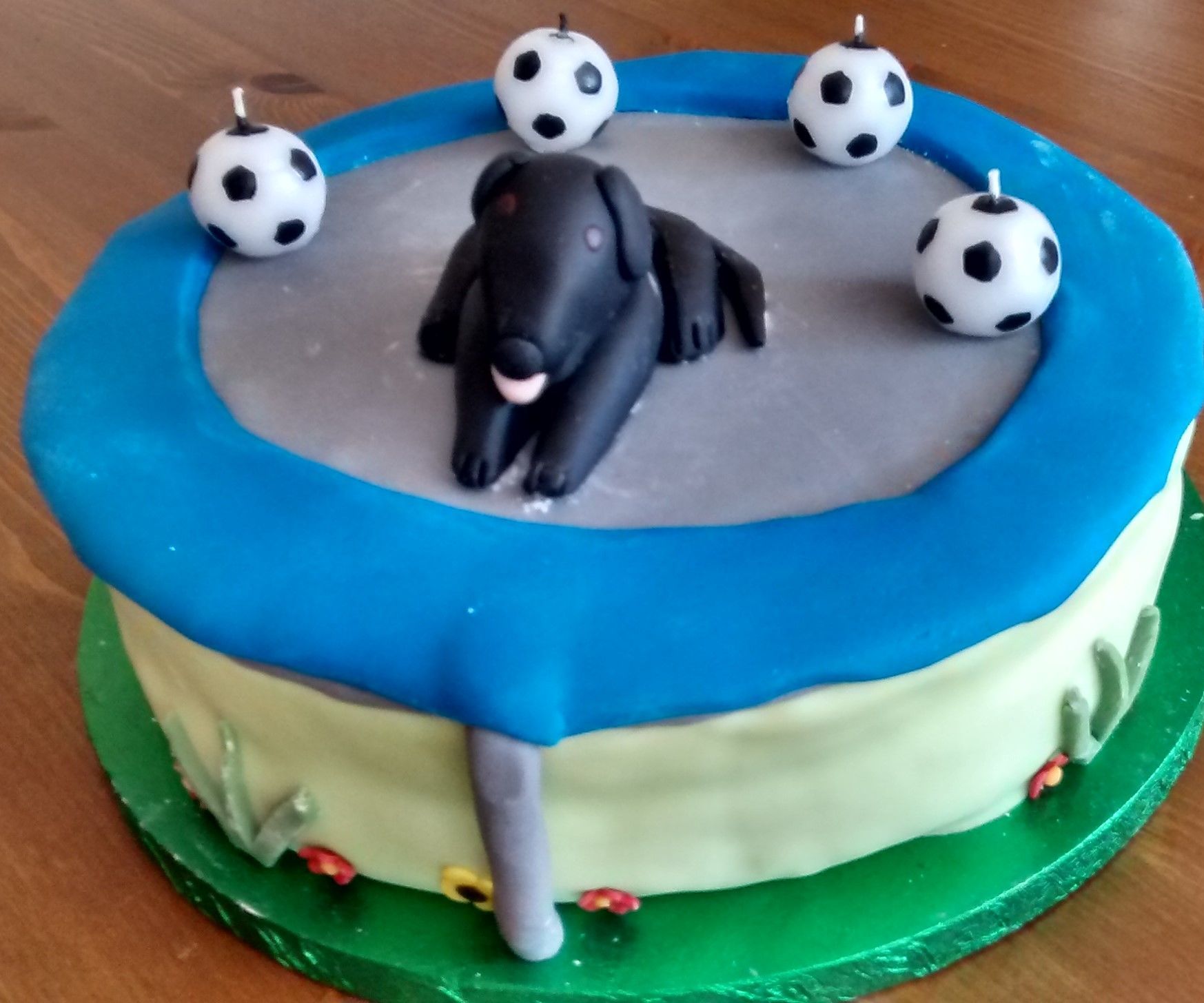Dog on Trampoline Cake