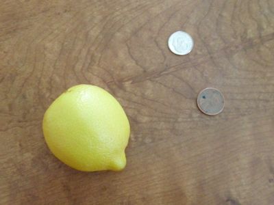 5 Great Lemon Tricks : 5 Steps (with Pictures) - Instructables
