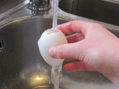 Prepping the Egg Shells