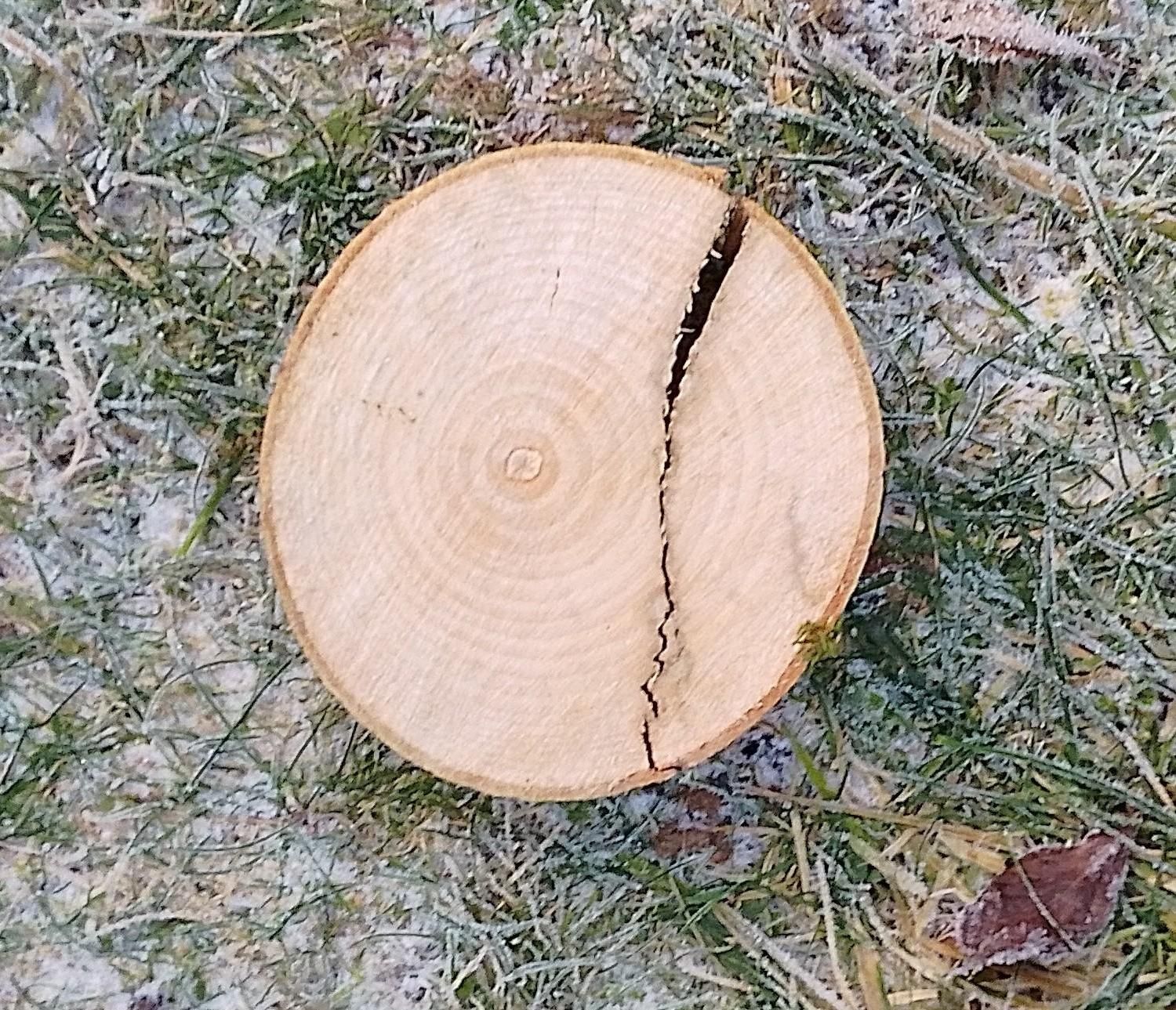 Reading a Trees Rings (Or Visualising Past Weather Events)
