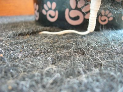 Attachment and Positioning